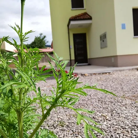 Villa Fantasea Opric Kültér fotó